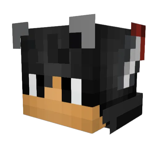 bongoboy Minecraft avatar head, 3D render