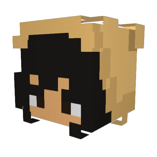 bongonoise Minecraft avatar head, 3D render