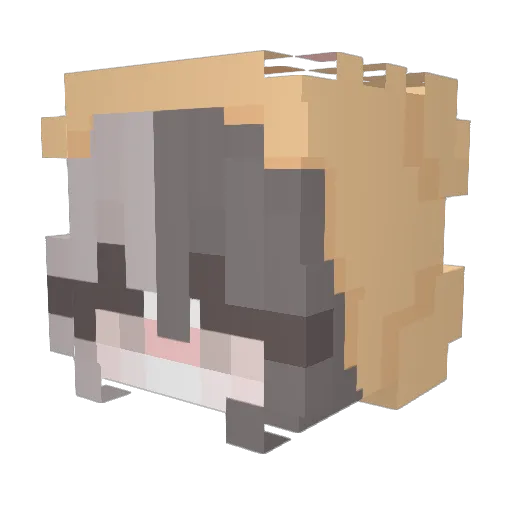bongu_ Minecraft avatar head, 3D render
