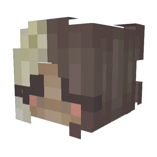bongwater44 Minecraft avatar head, 3D render