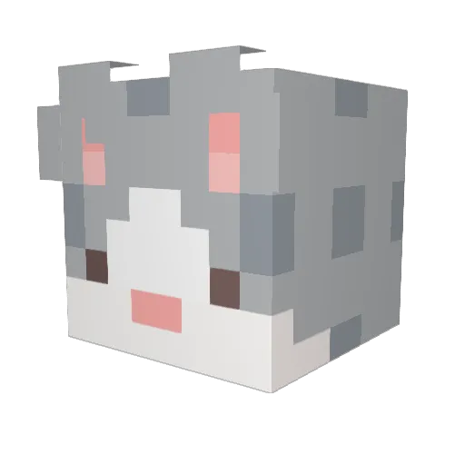 bonitfranq Minecraft avatar head, 3D render