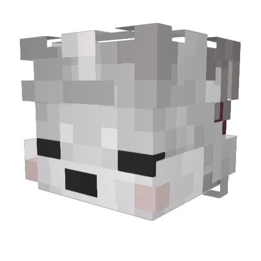 bonka8666 Minecraft avatar head, 3D render