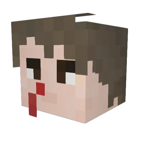 bonkobarnes Minecraft avatar head, 3D render