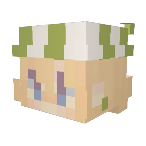 bonkwasbonking Minecraft avatar head, 3D render