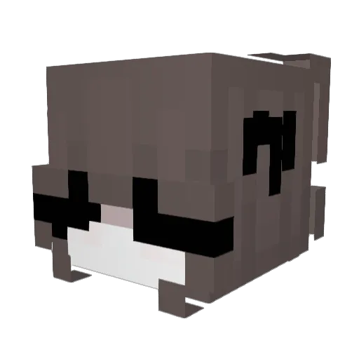 bonnity Minecraft avatar head, 3D render