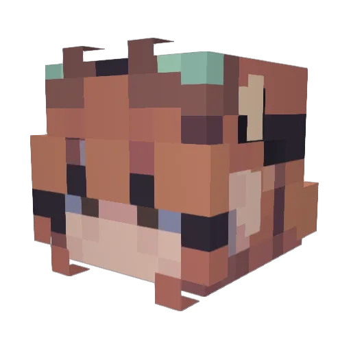 bonnypilled Minecraft avatar head, 3D render