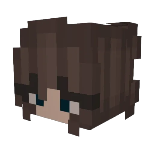 bonoad55 Minecraft avatar head, 3D render