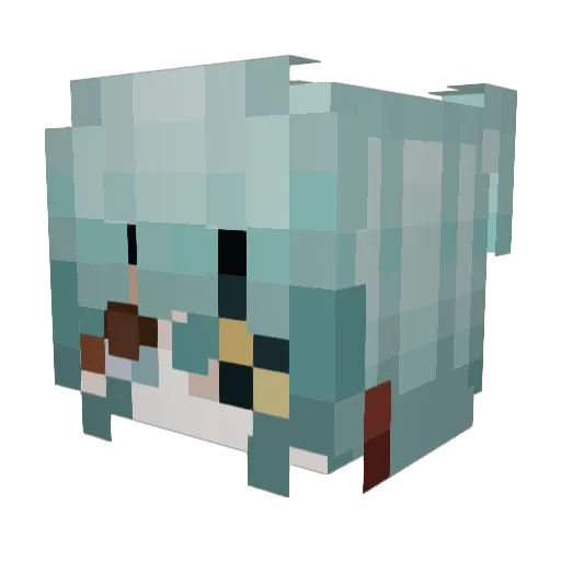 bonpoh Minecraft avatar head, 3D render