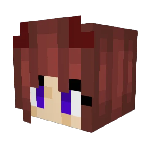 bonpoi Minecraft avatar head, 3D render