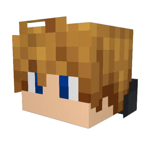 bonsai27 Minecraft avatar head, 3D render