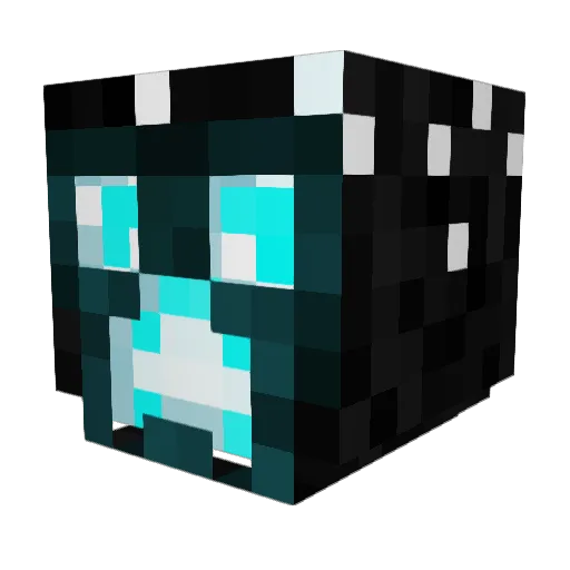 bonsko216 Minecraft avatar head, 3D render