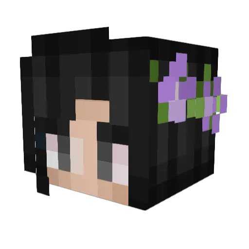 bonskosquad Minecraft avatar head, 3D render