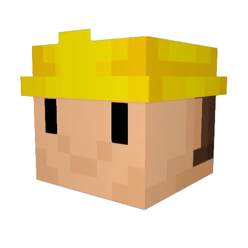 bontekoe Minecraft avatar head, 3D render