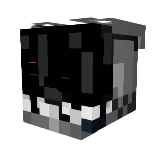 bontrap49 Minecraft avatar head, 3D render