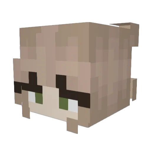 bonusbeat Minecraft avatar head, 3D render