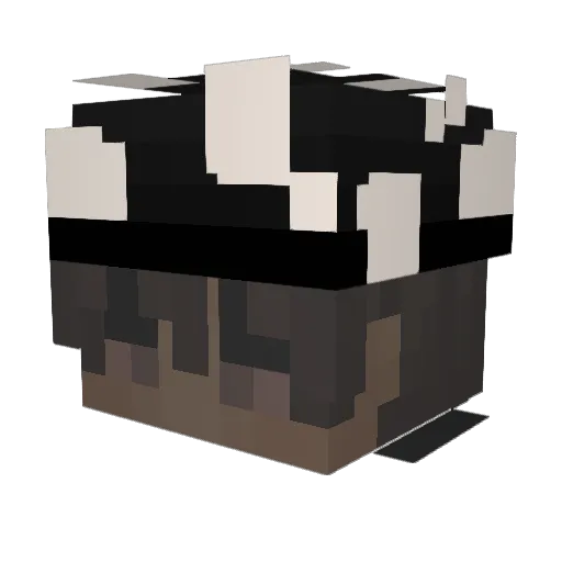 bonydonnie Minecraft avatar head, 3D render