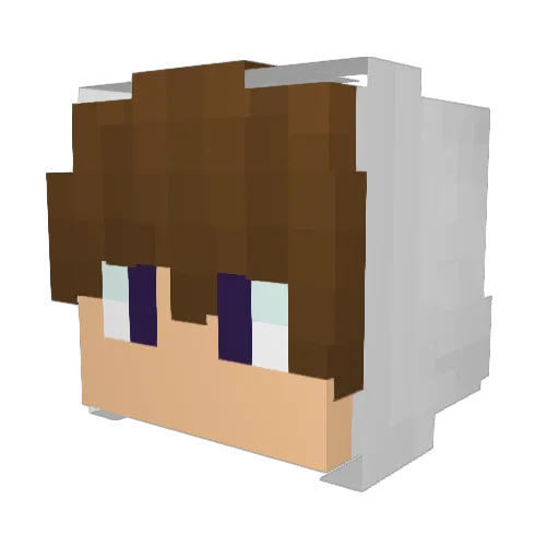 boo_berry501 Minecraft avatar head, 3D render