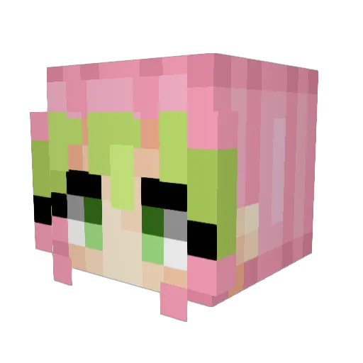 boobearbrandon Minecraft avatar head, 3D render