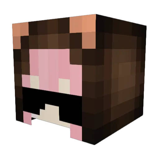 boofpackmooky Minecraft avatar head, 3D render
