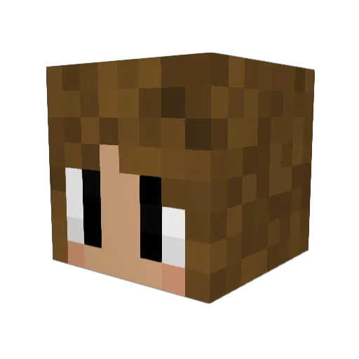 boofsly2 Minecraft avatar head, 3D render