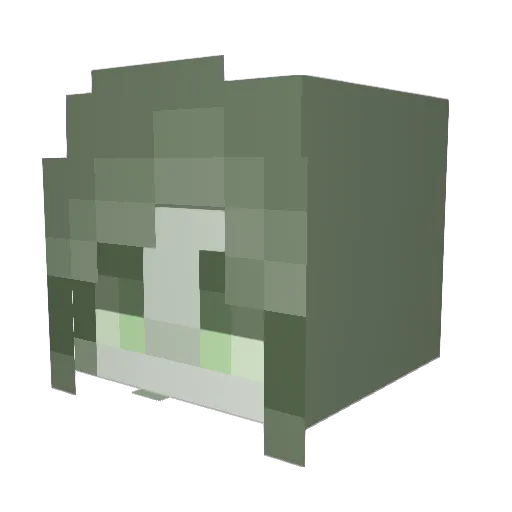 booger111 Minecraft avatar head, 3D render