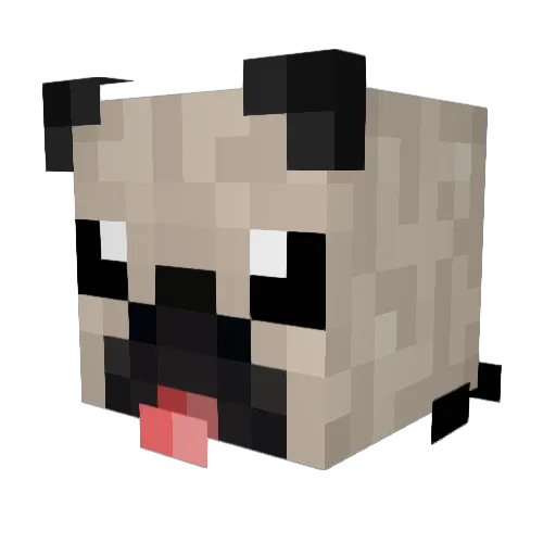 boogerkid6 Minecraft avatar head, 3D render