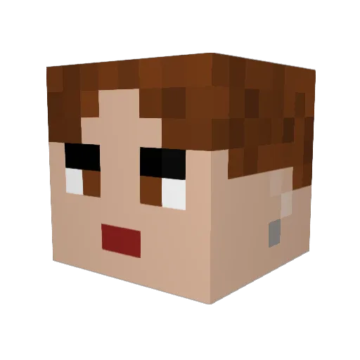boogersauce Minecraft avatar head, 3D render