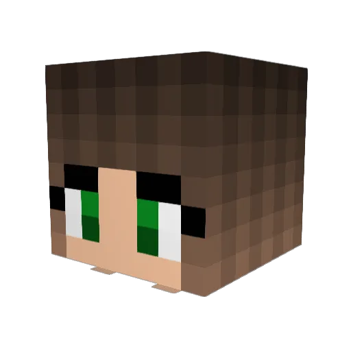 boogeybear1221 Minecraft avatar head, 3D render