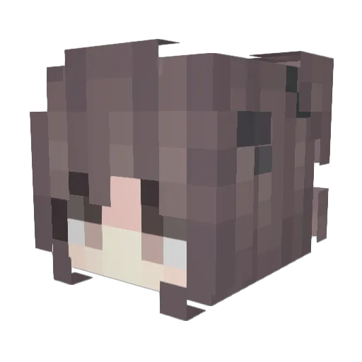 boogiebear80 Minecraft avatar head, 3D render