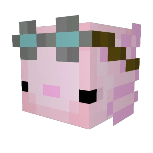 boogle_axolotl Minecraft avatar head, 3D render