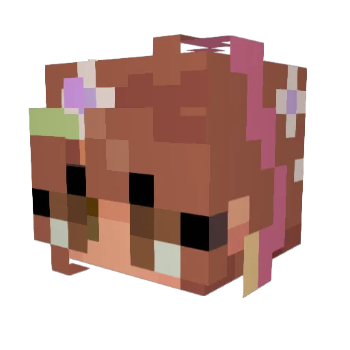 bookRead123 Minecraft avatar head, 3D render