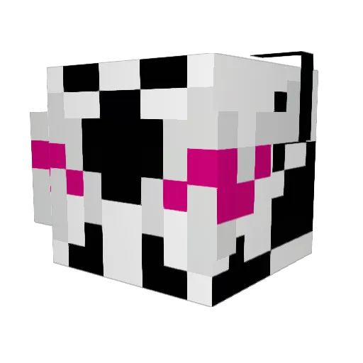 bookSSimon_ Minecraft avatar head, 3D render