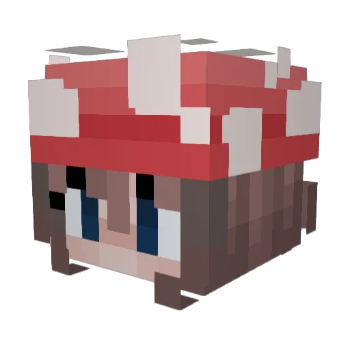 bookae Minecraft avatar head, 3D render