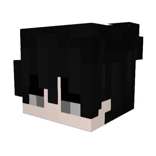 bookbook13 Minecraft avatar head, 3D render