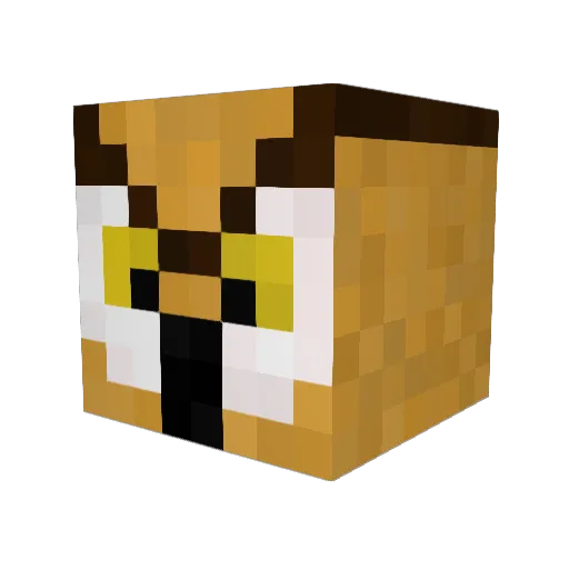 bookbook1 Minecraft avatar head, 3D render