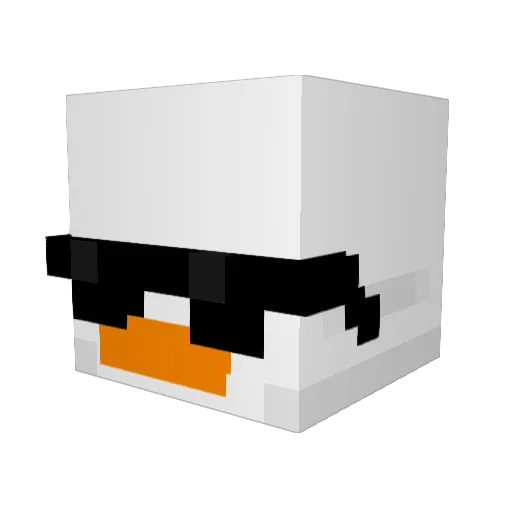 bookboy06 Minecraft avatar head, 3D render