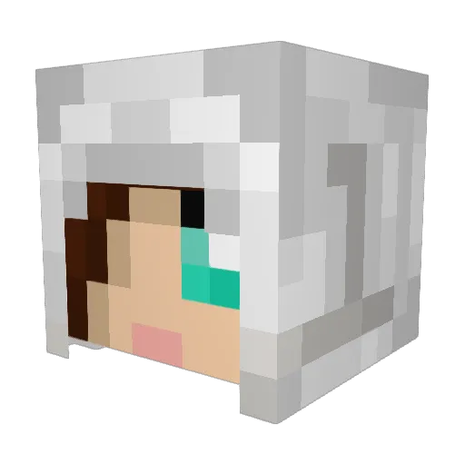 bookfever Minecraft avatar head, 3D render