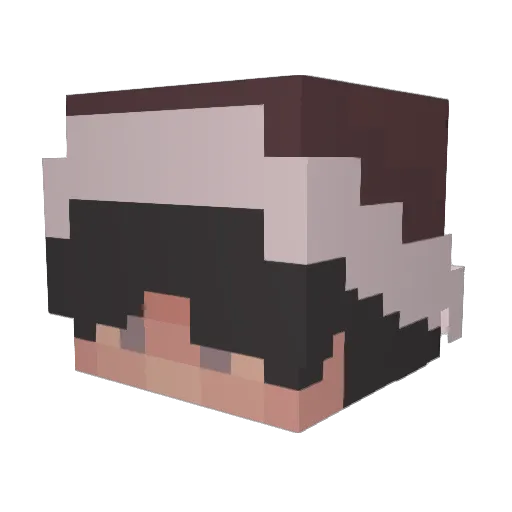 bookisk Minecraft avatar head, 3D render