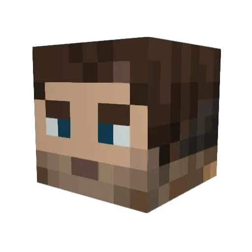 bookking33 Minecraft avatar head, 3D render