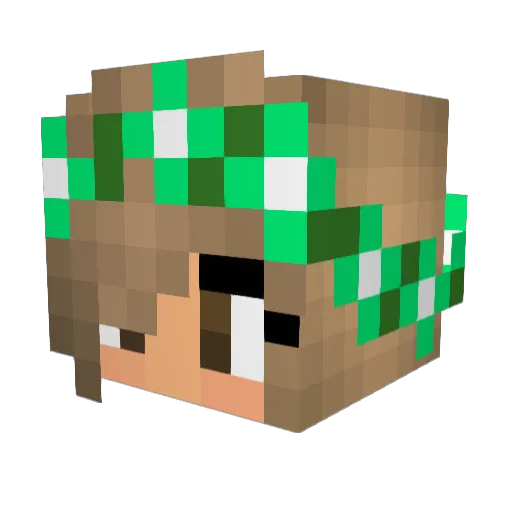 booklion724 Minecraft avatar head, 3D render
