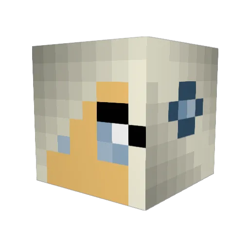 bookluver16 Minecraft avatar head, 3D render