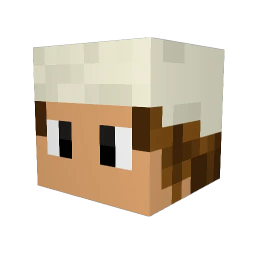 bookman Minecraft avatar head, 3D render