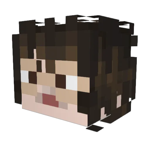bookofwood Minecraft avatar head, 3D render