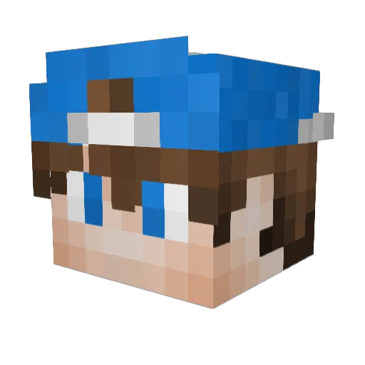 booksboy11 Minecraft avatar head, 3D render