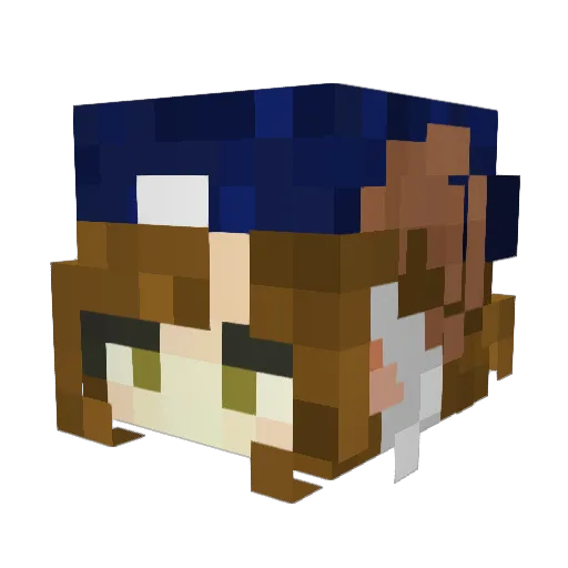 boolive_ Minecraft avatar head, 3D render