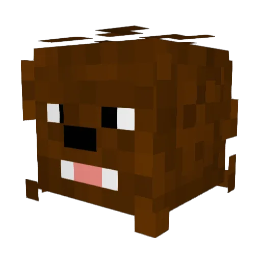 boom_man654 Minecraft avatar head, 3D render