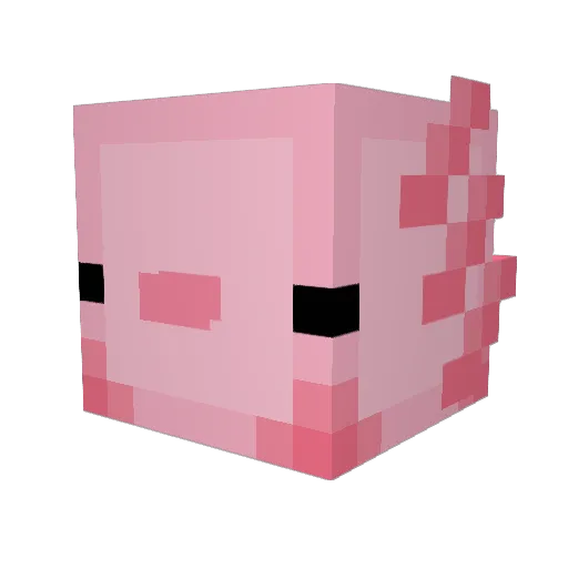 boomat100 Minecraft avatar head, 3D render