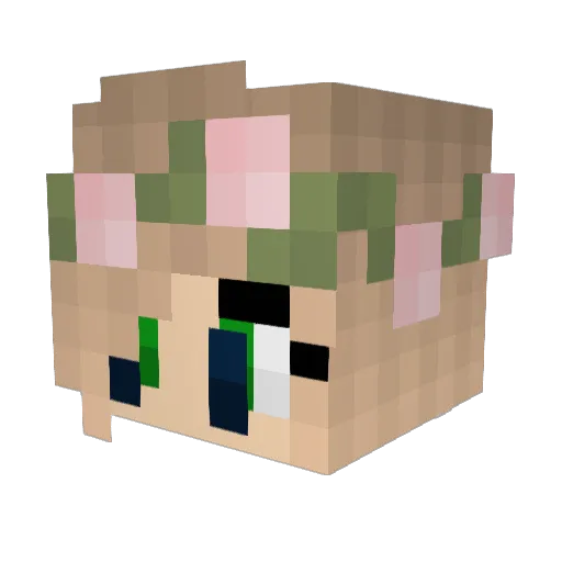 boomer133 Minecraft avatar head, 3D render