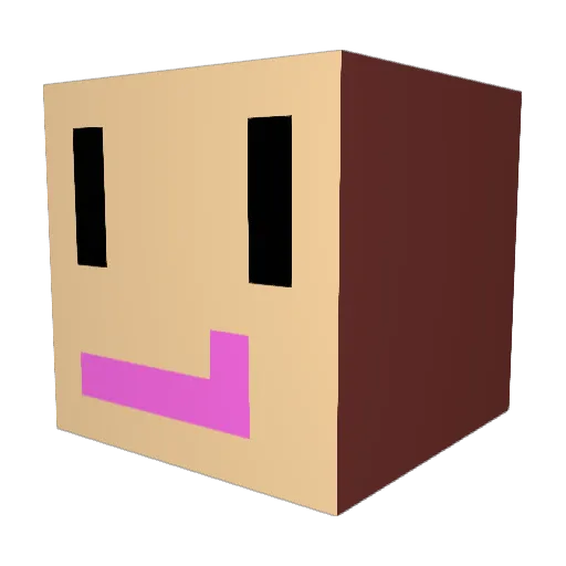 boomer81160 Minecraft avatar head, 3D render