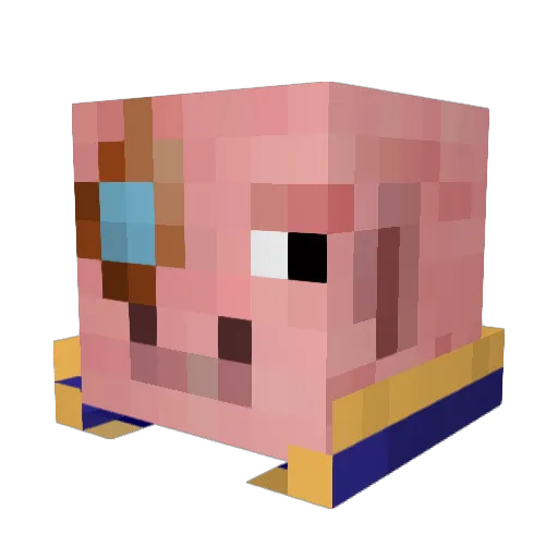 boomerpirate Minecraft avatar head, 3D render